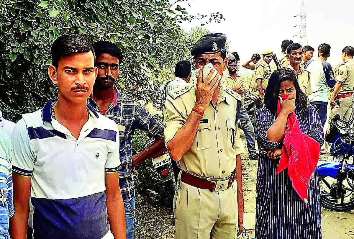 26 cattle found dead near road at etawah