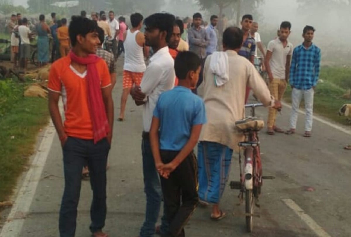 Many sheeps injured and died while crashed by overspeeding pickup van