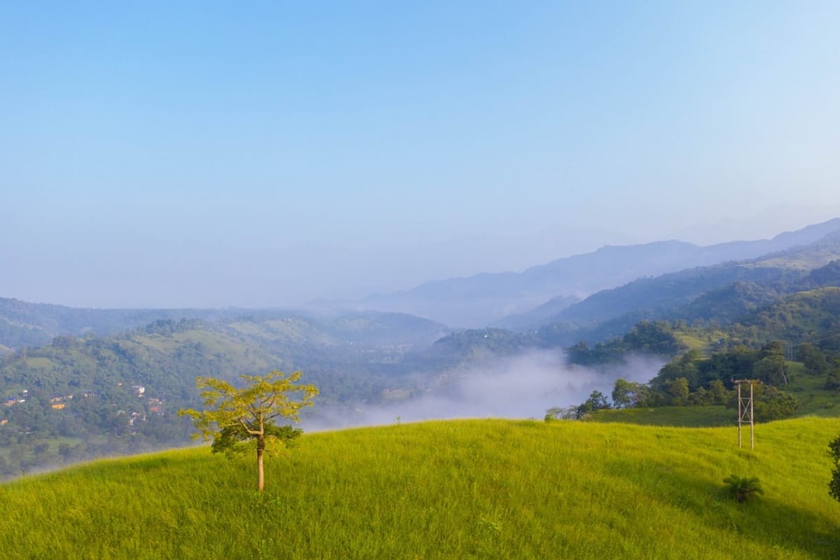 visit many places in heaven of himachal pradesh narkanda