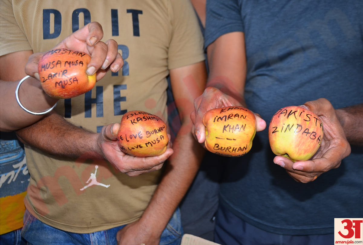 Anti-country slogans, demonstrations, written on apple to spoil the atmosphere in Jammu and Kashmir