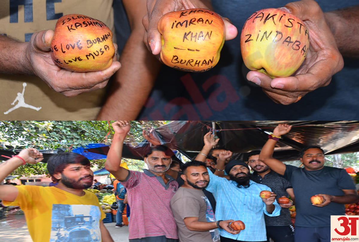 Anti-country slogans, demonstrations, written on apple to spoil the atmosphere in Jammu and Kashmir