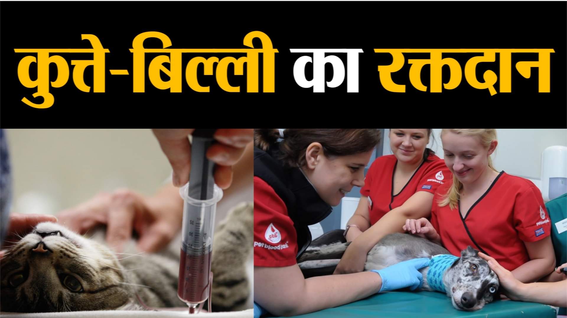 प्रतिकात्मक तस्वीर