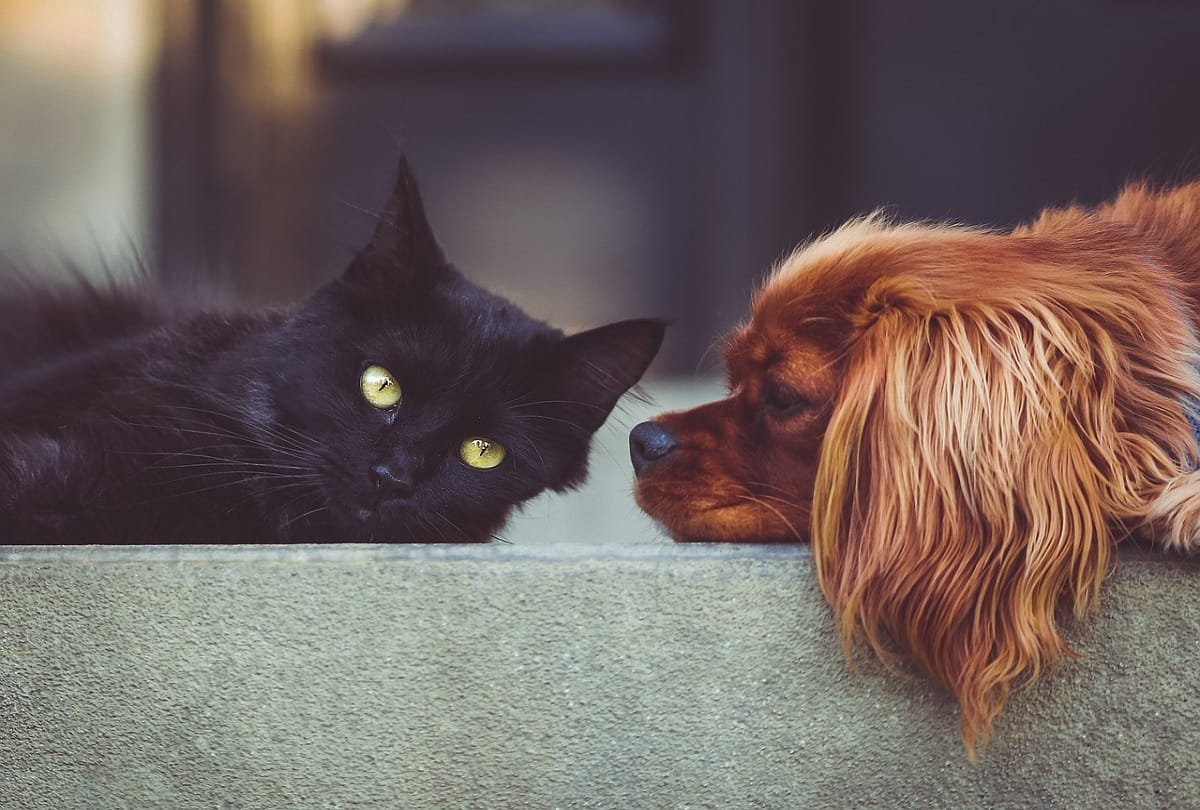 Find out the negative power in the house with these 10 things