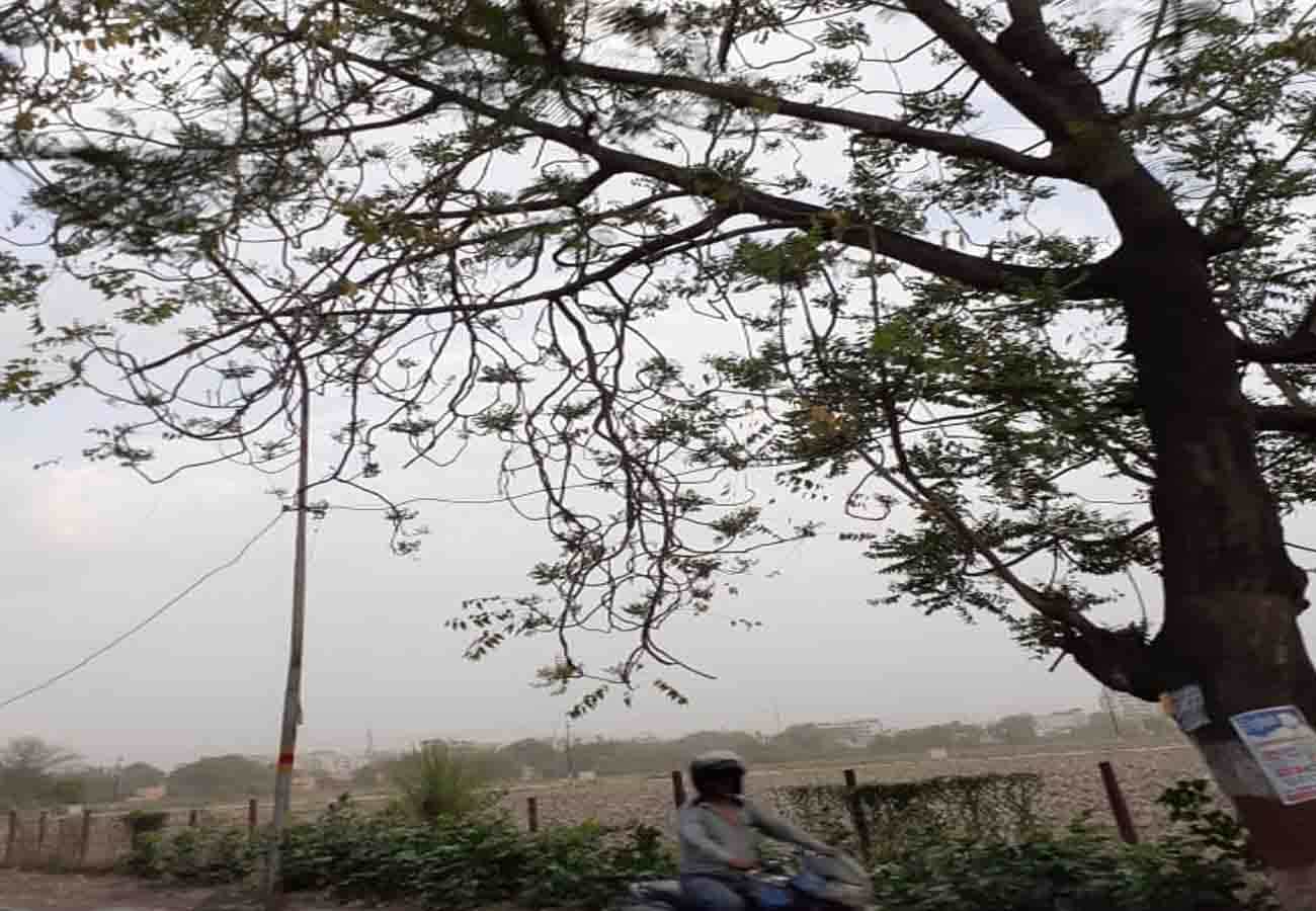 news related to monsoon in up, read weather report today