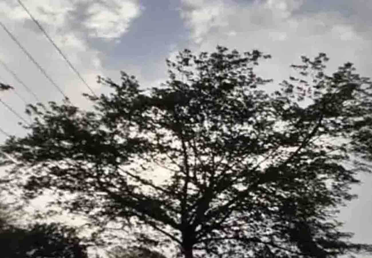 news related to monsoon in up, read weather report today