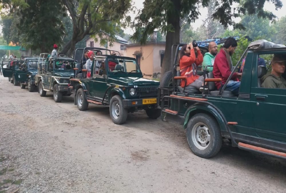 Rajaji Tiger Reserve: Chilla and Ranipur range will open from 1st October jungle safari