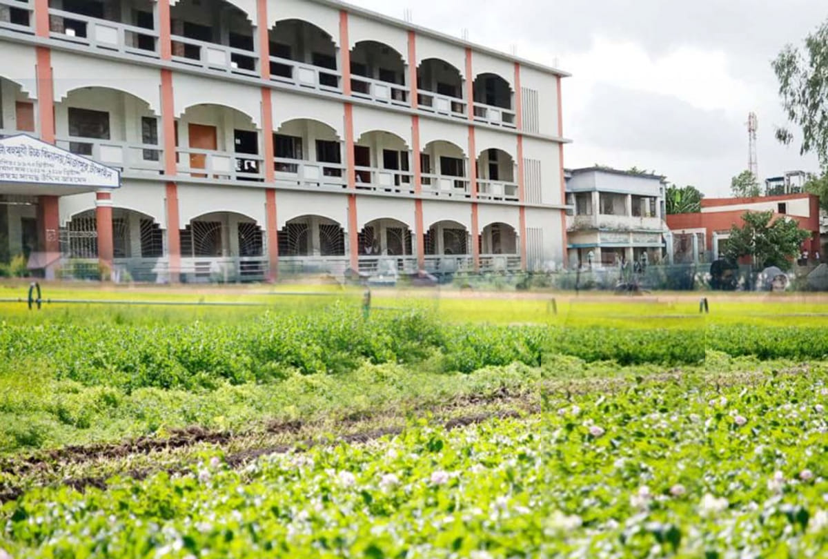 Schools to grow vegetables, central govt MHRD guidelines for kitchen garden in schools