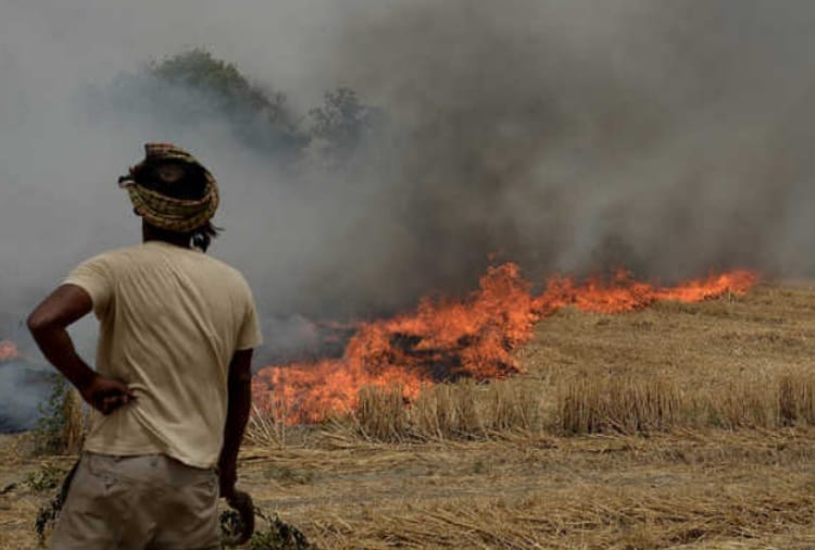 Punjab CM Captain Amrinder Singh Meeting with Progressive Farmers Regarding Straw Burning