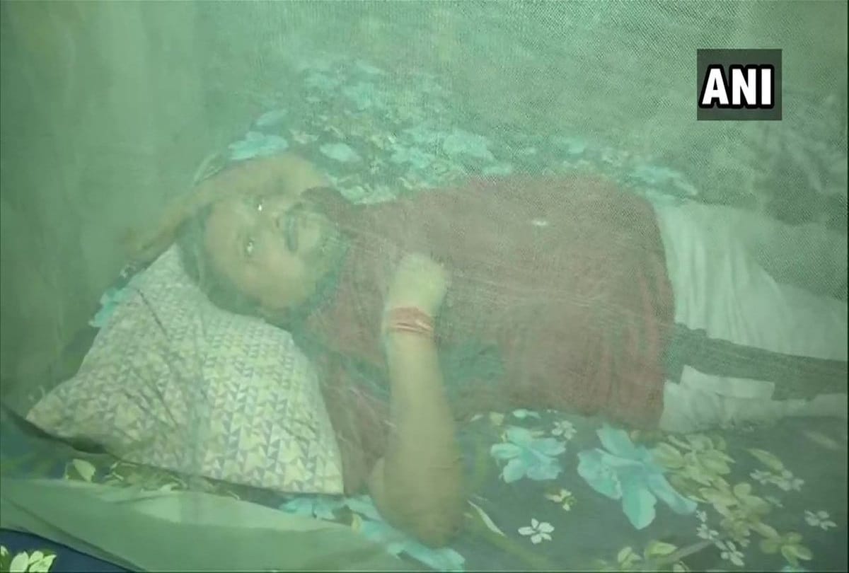 Patna Nitin Navin BJP MLA from Bankipur tested positive for dengue