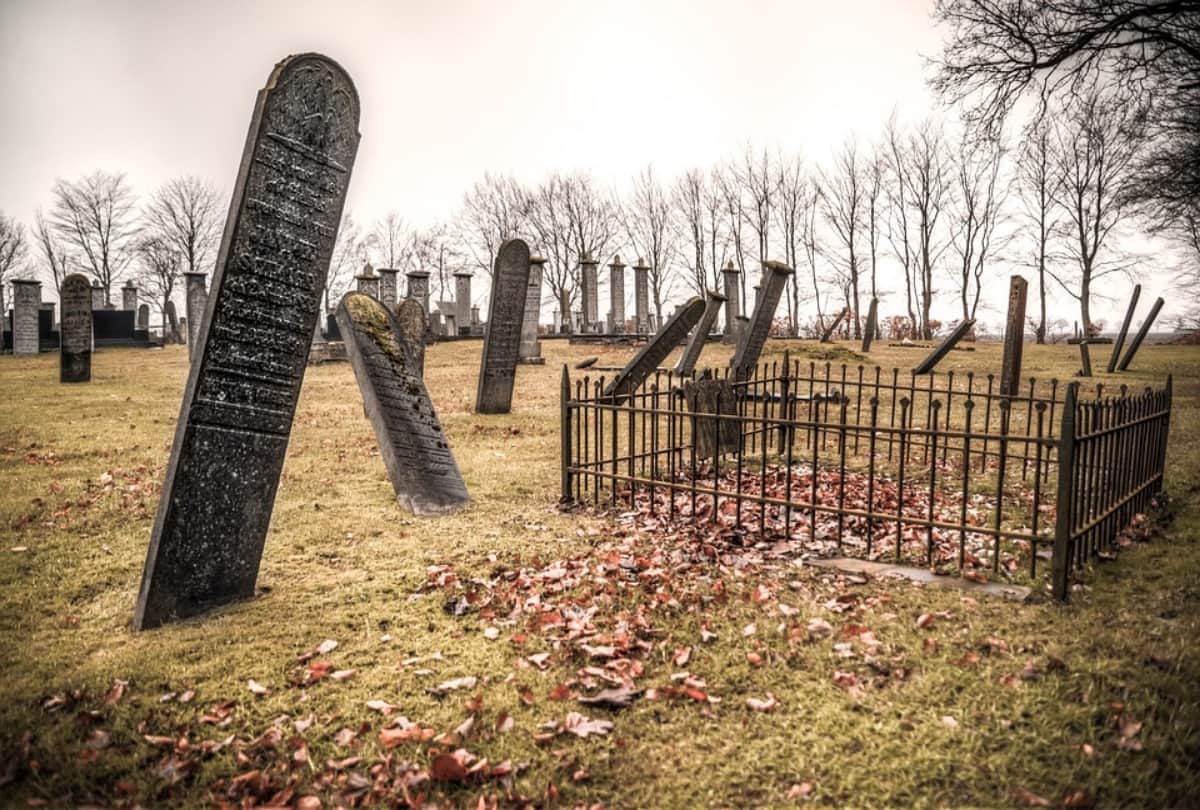 why are corpses taken out of tombs in Indonesia every 3 years manene festival