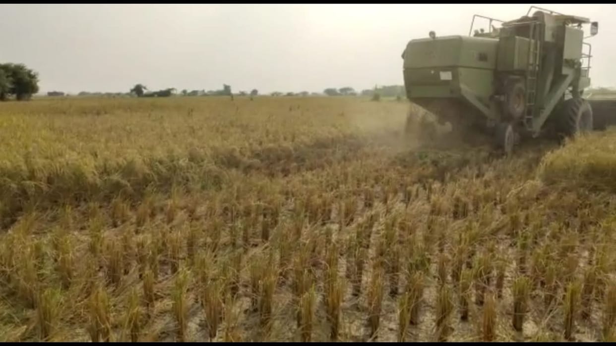 action in mainpuri