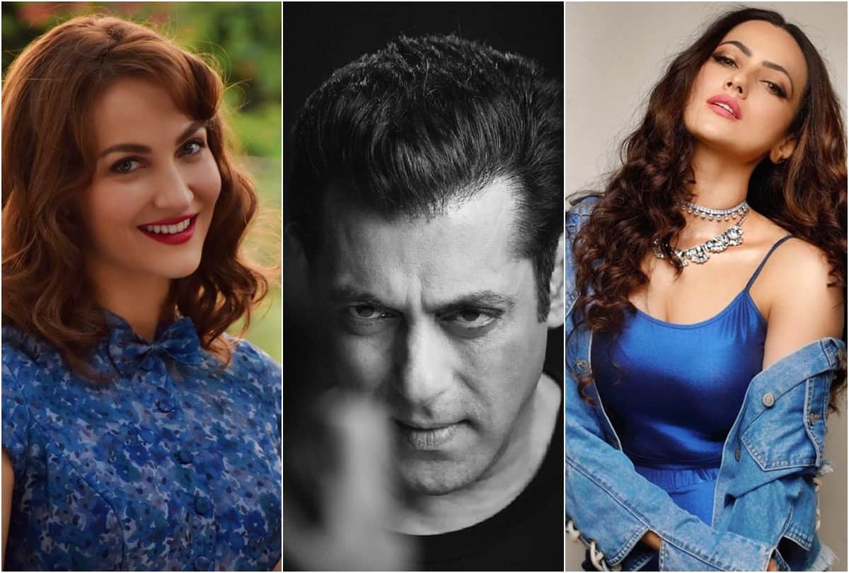 Salman Khan Bigg boss Favourite Contestant shehnaaz shilpa mandana karimi sana khan Elli AvrRam