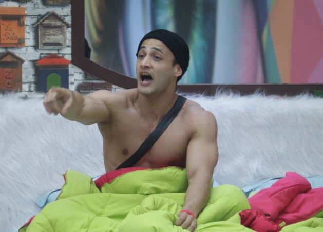 Bigg Boss 13 Salman Khan show Abu Malik Mahira Sharma may eliminate this Weekend Ka Vaar