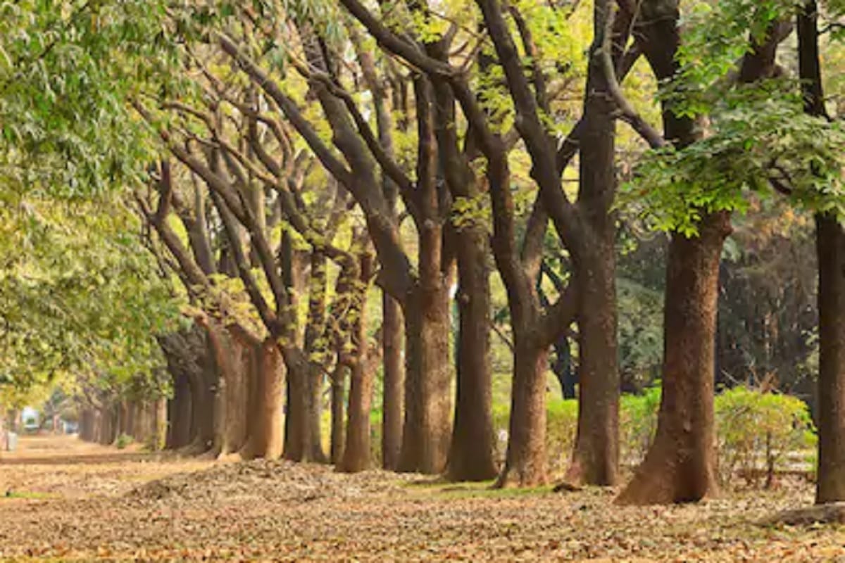 bangalore a beautiful romantic destination for visit