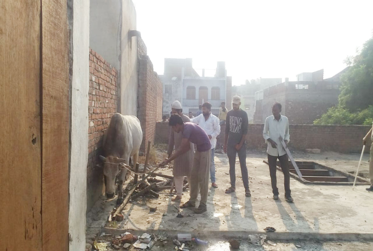 Bull climbed roof of house in firozabad