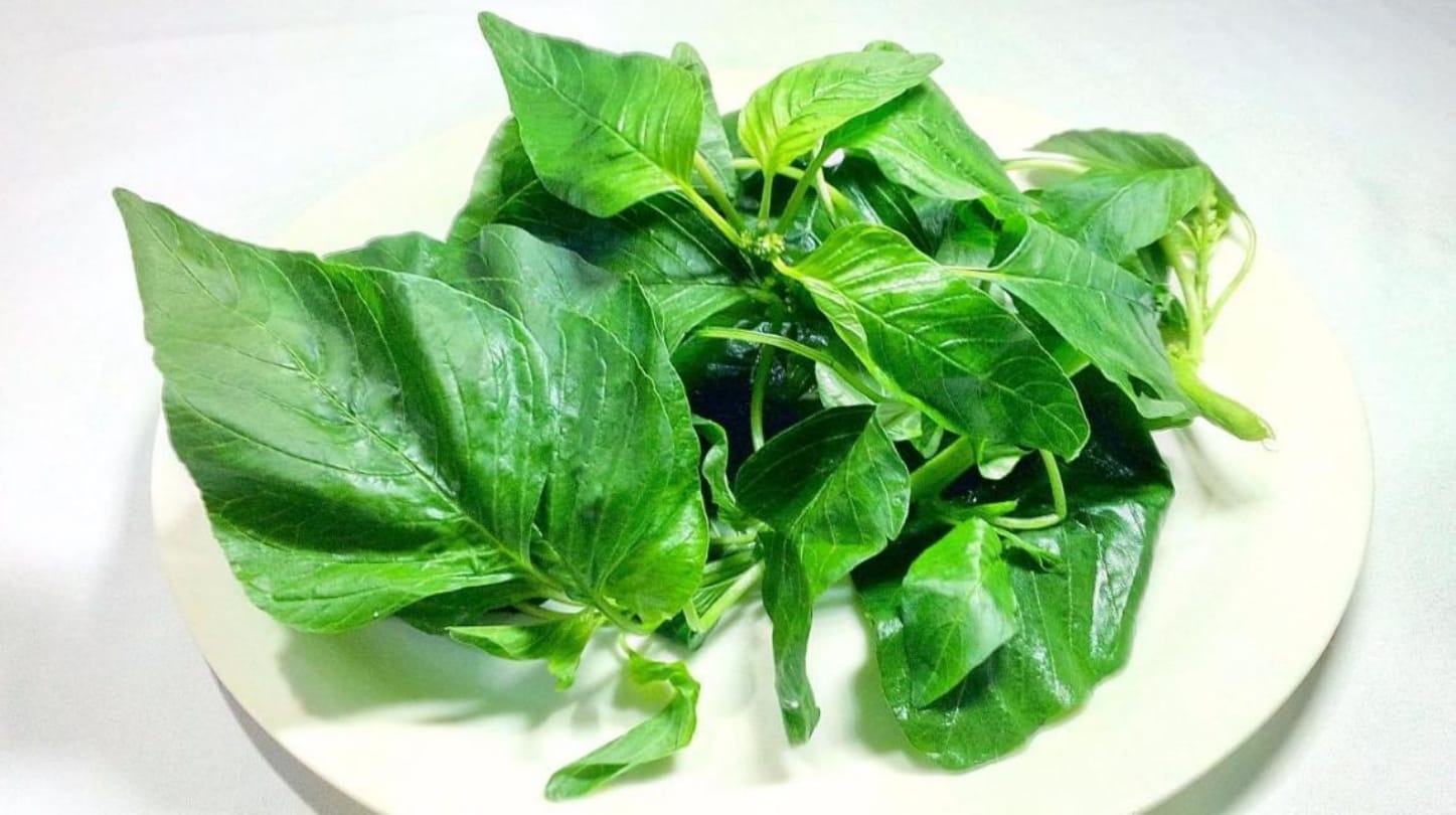 These greens vegetables is helpful for prevention of many diseases