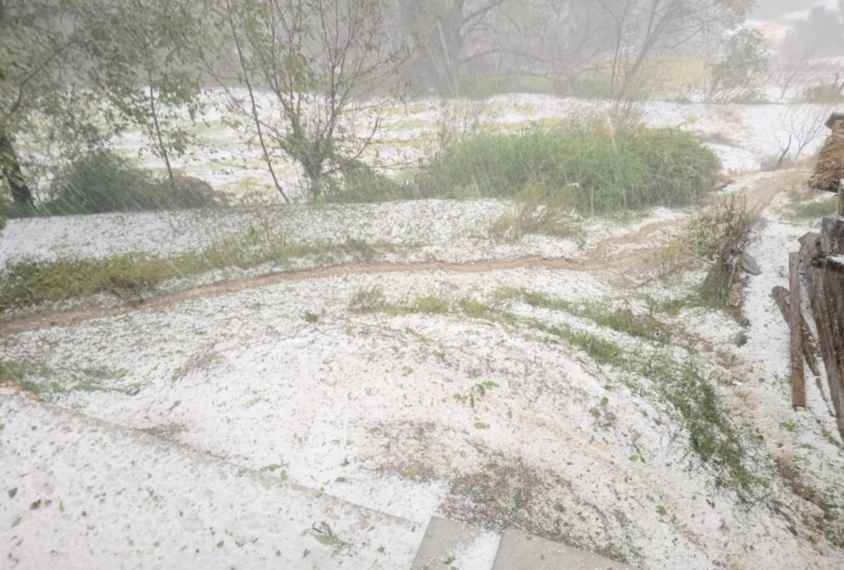 Himachal: snowfall in Rohtang, hailstorm in Kullu damages crops