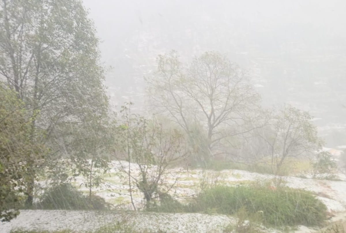 Himachal: snowfall in Rohtang, hailstorm in Kullu damages crops