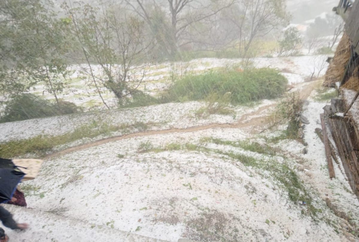 Himachal: snowfall in Rohtang, hailstorm in Kullu damages crops