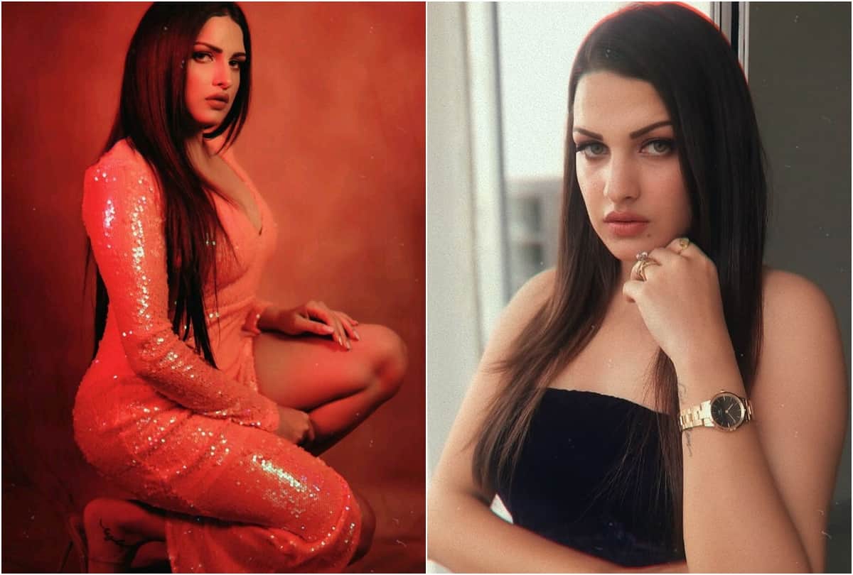 bigg boss 13 himanshi khurana relation with ammy virk know her profile