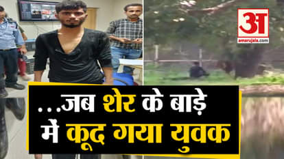 man who jumped inside lion enclosure rescued safe from Delhi zoo