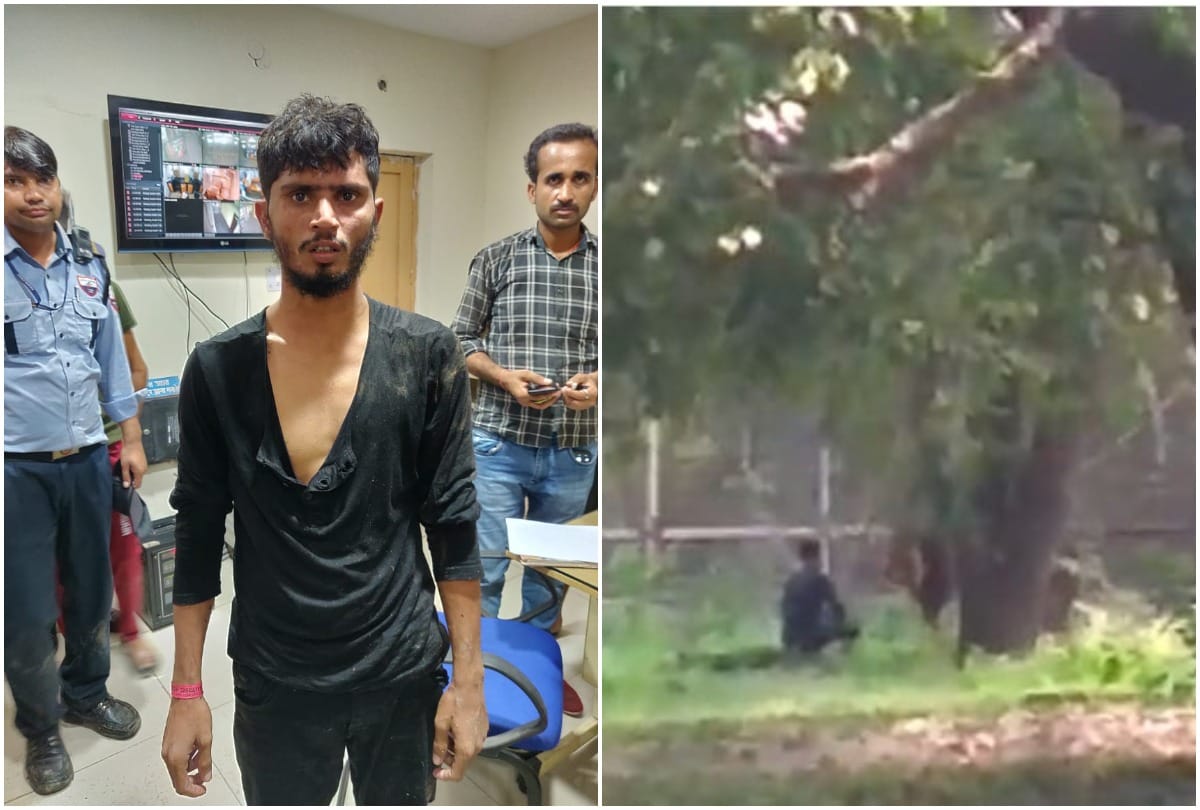 Man jumps inside the Lions cage in Delhi zoological park