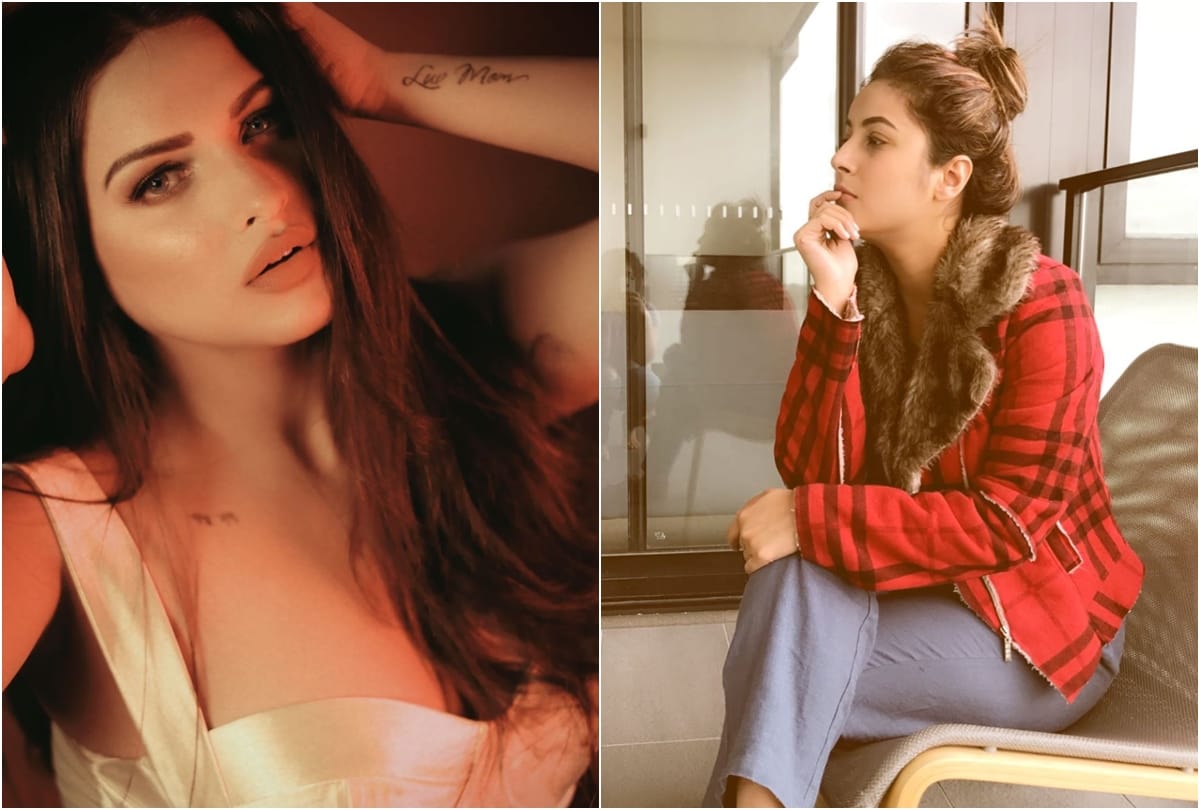 Shehnaz Gill enemy Himanshi Khurana Wild Card Entry at salman khan Bigg Boss 13