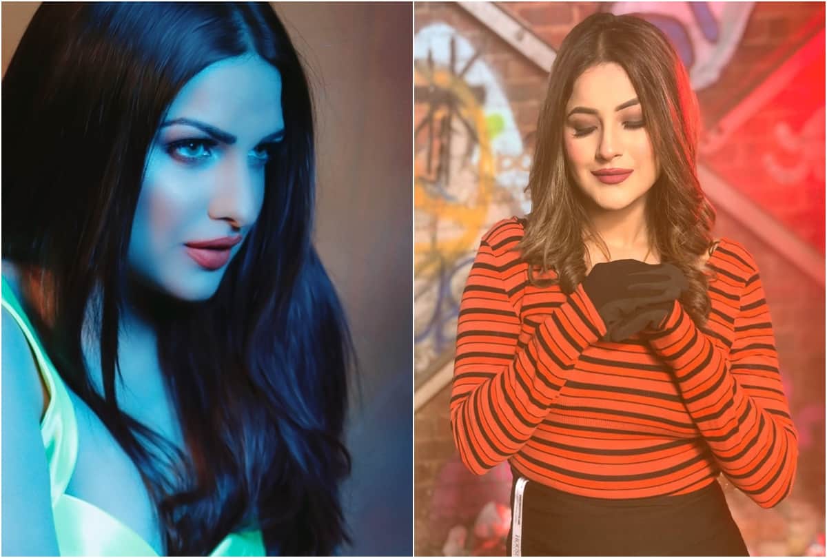 bigg boss 13 shehnaz gill brother talk about siddharth and paras
