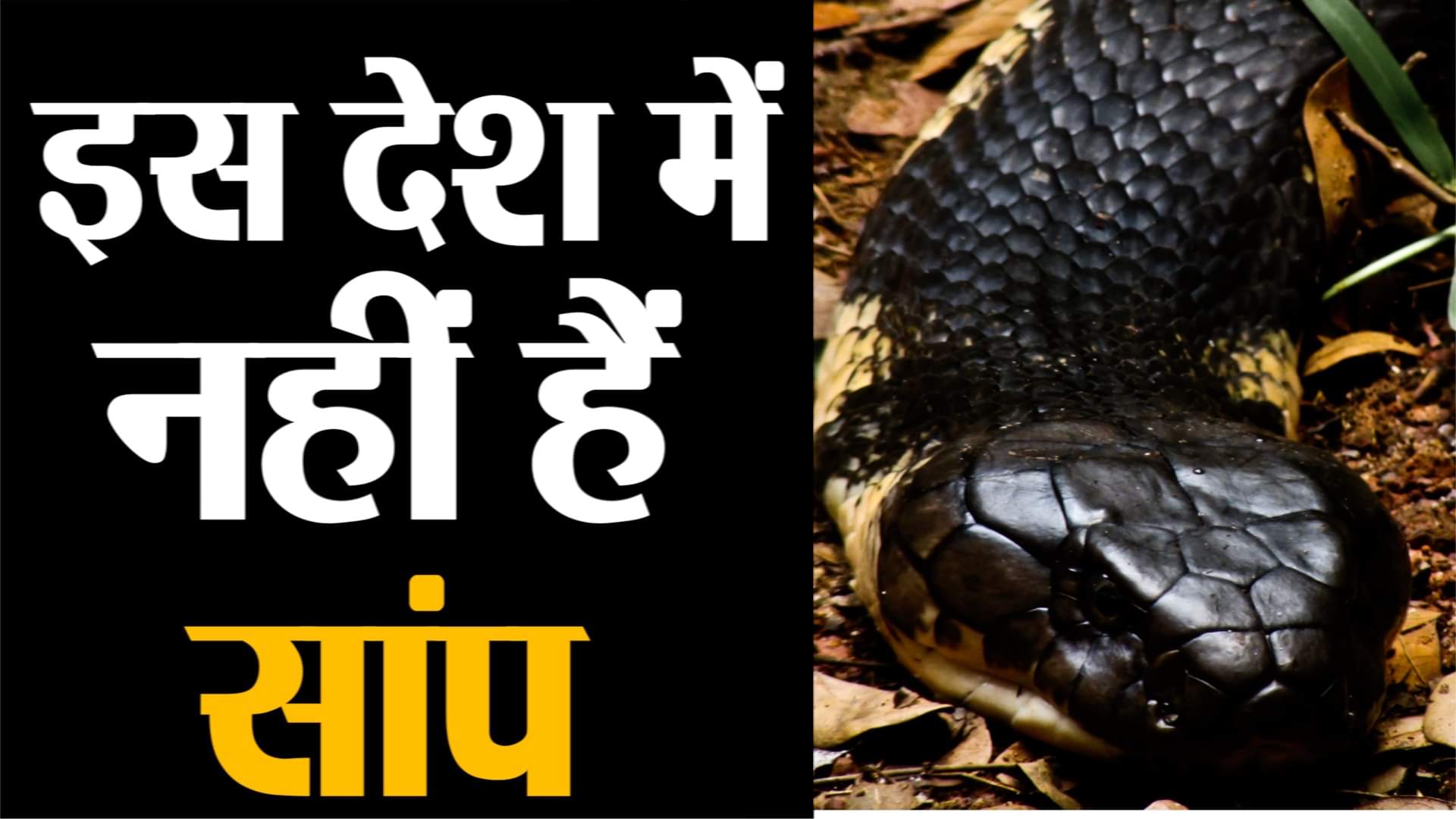 प्रतिकात्मक तस्वीर