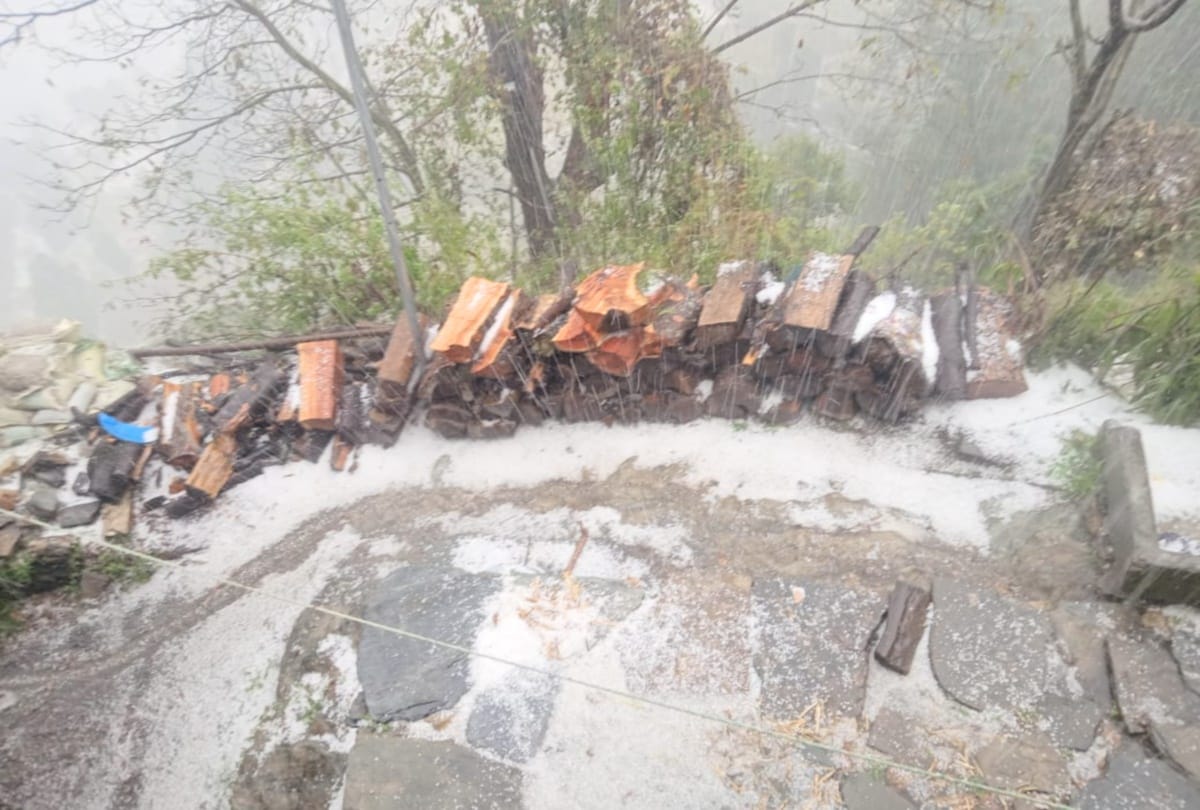 Himachal: snowfall in Rohtang, hailstorm in Kullu damages crops