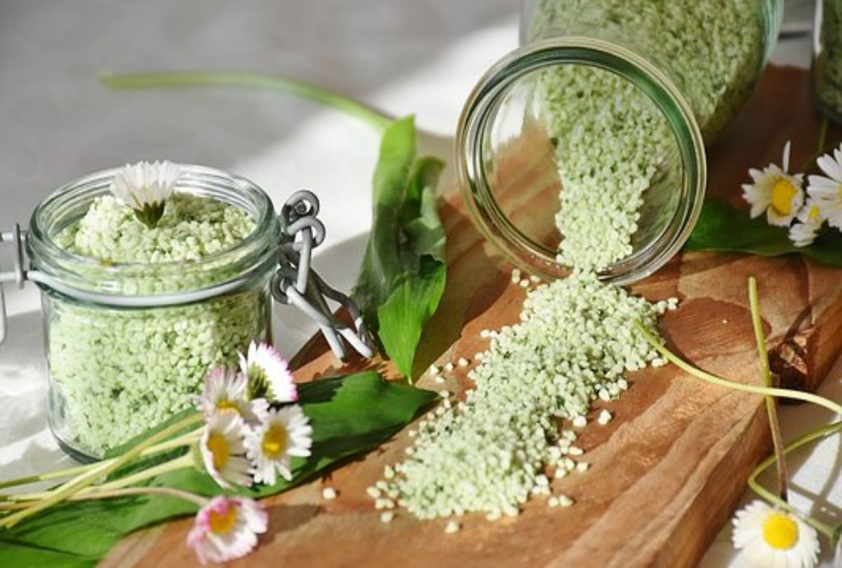 how to make garlic salt health benefits for reducing weight and control blood pressure