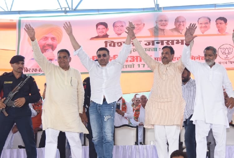 haryana assembly elections, BJP MP Sunny Deol Election Campaign Rally At Narnaund