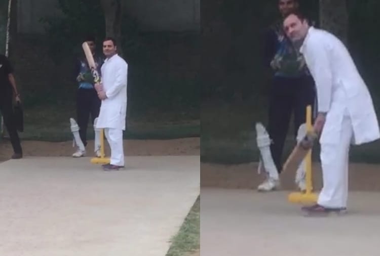 haryana assembly elections, Congress leader Rahul Gandhi plays cricket with local boys in Rewari