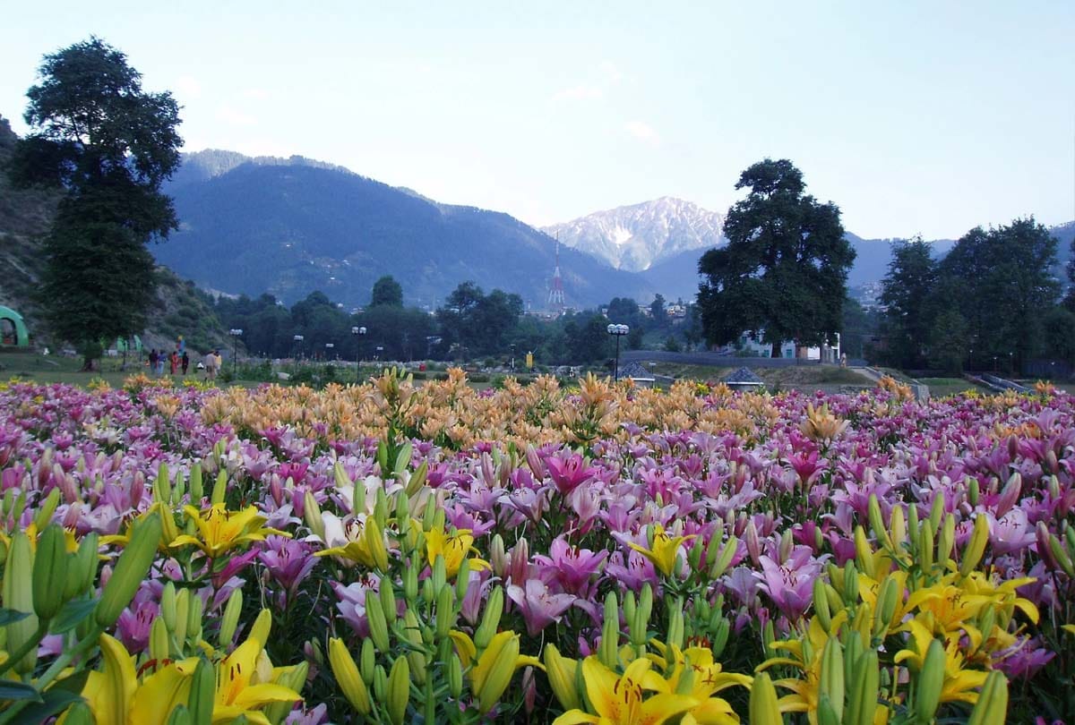 Mini Kashmir 'Land of Nagas' unheard things about Bhaderwah
