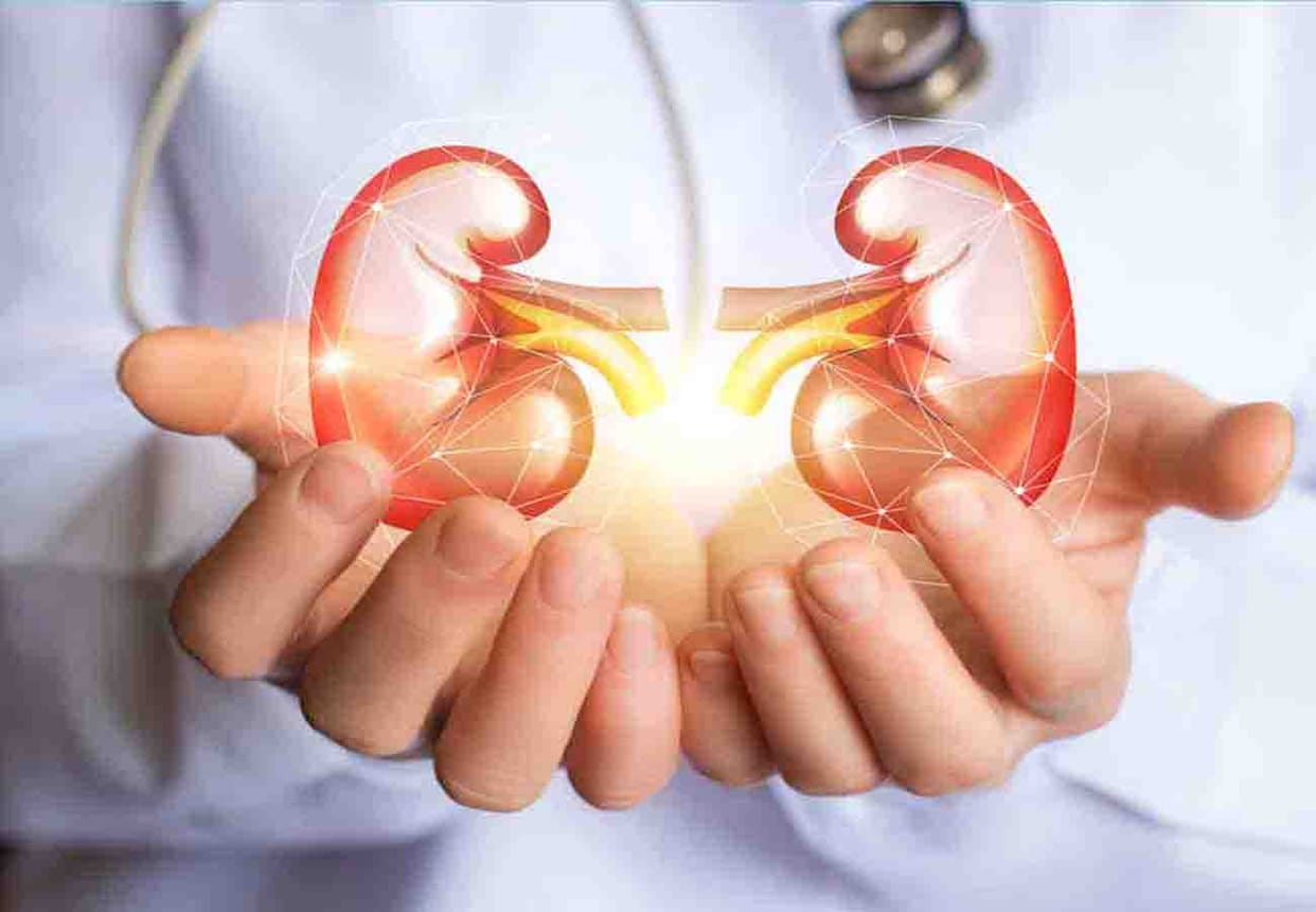 Sangeeta's postmortem will be taken out of the grave in a kidney scandal