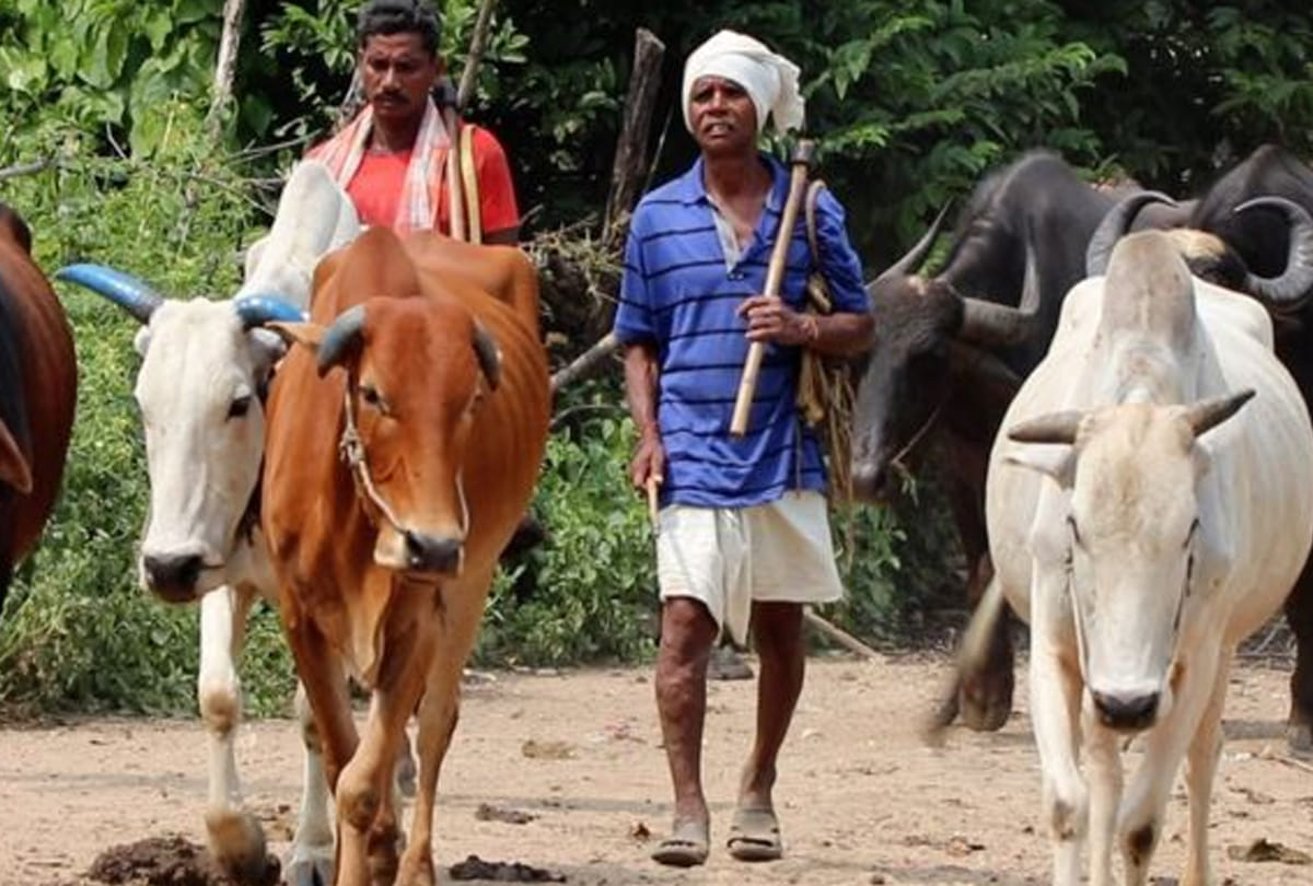 Ground Report from Maharashtra Villages where no government schemes and officers reach