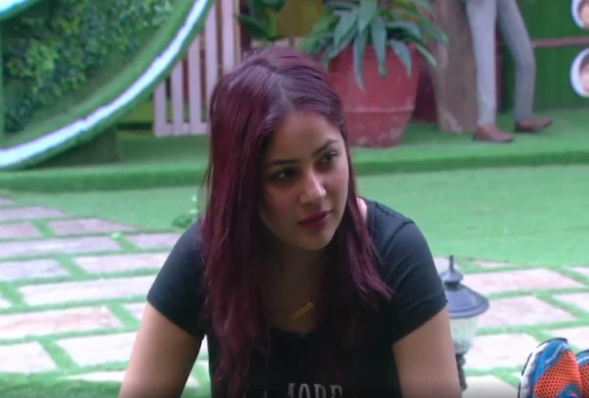 Bigg Boss 13 Shahnaz Asks Breakup Story of  Vishal and Madhurima Says Tujhme koi kami hai kya?
