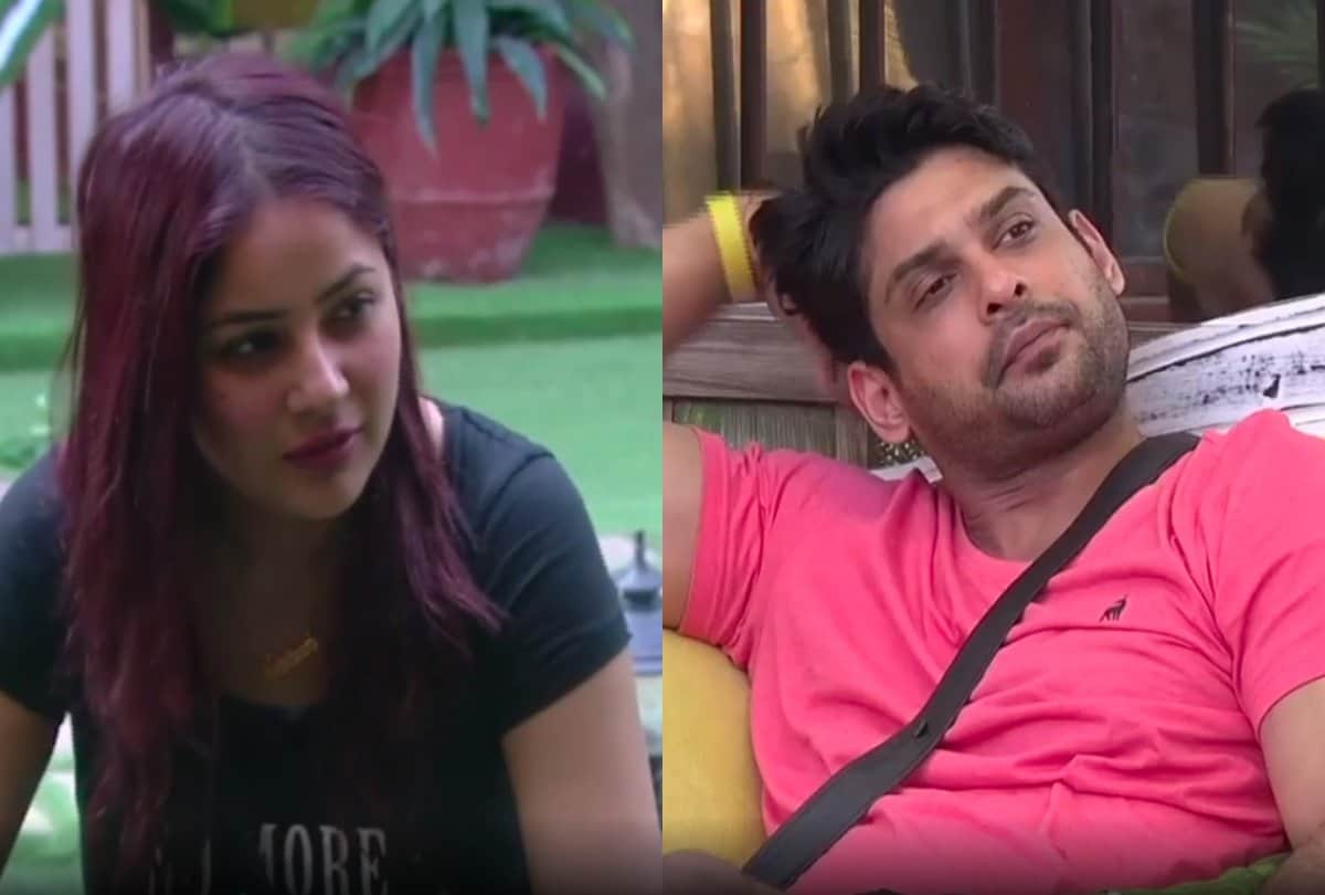Bigg Boss 13 latest news Mahira Sharma targets Shehnaz Kaur Gill Shefali Jariwala on Rashami Desai