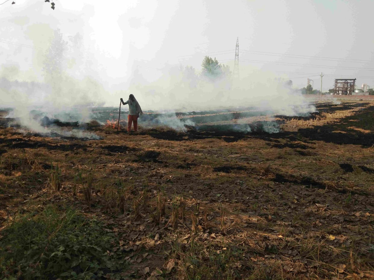 increasing pollution by burning straw