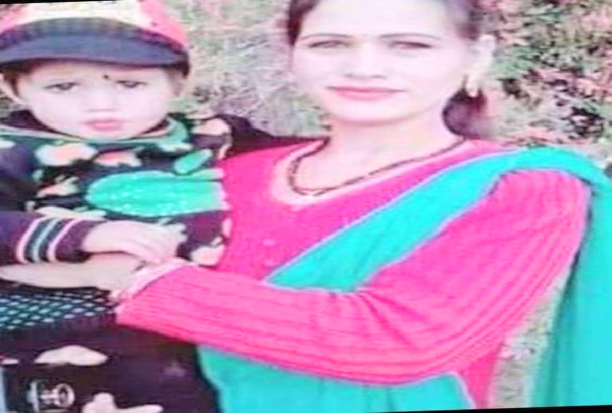 after child Mother admitted in IGMC shimla also died injured in hornet attack
