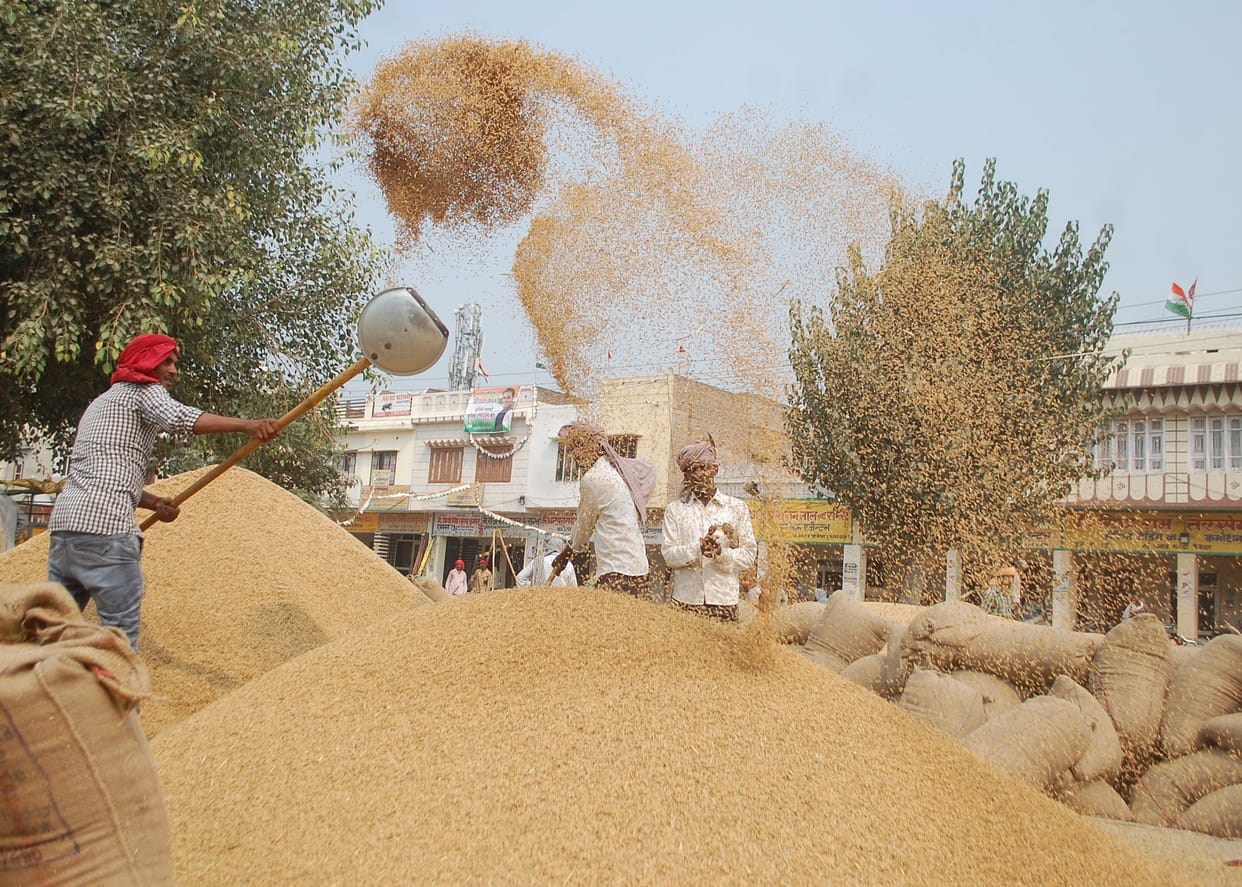 sell in rice
