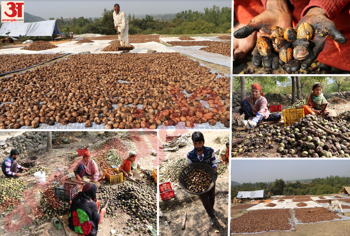 Business in Jammu uninterrupted due to Kashmir situation, Asia's biggest mewa mandi jammu