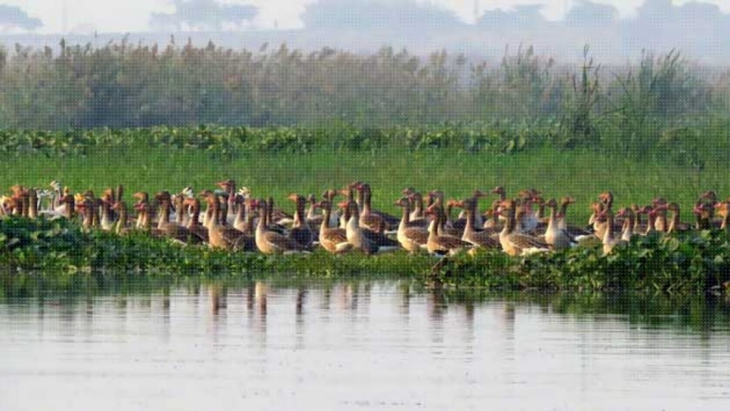 best places to visit in delhi ncr for single couple and family
