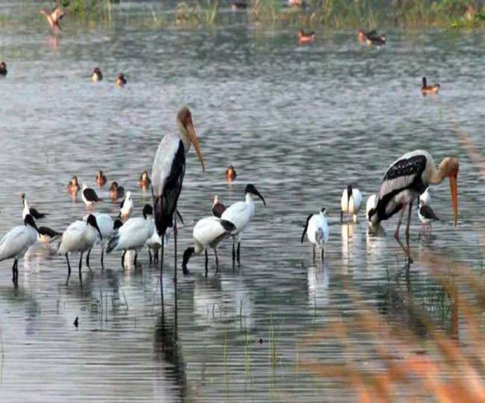 best places to visit in delhi ncr for single couple and family