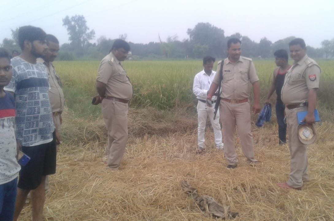 dead body found in field