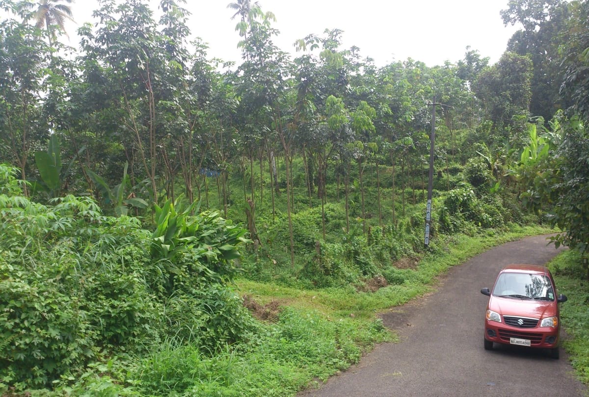 kerala adventure places and jungle trekking