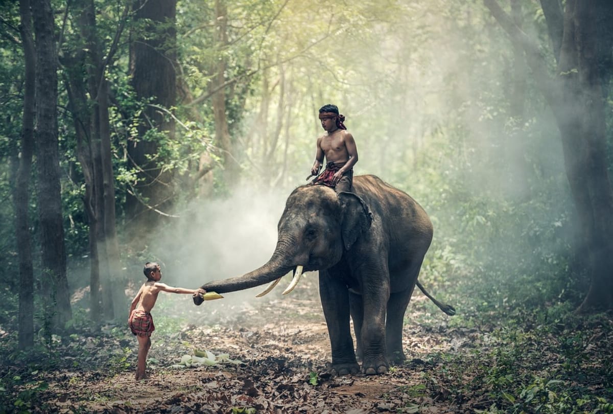 Beautiful top destinations places of kerala to visit stay explore