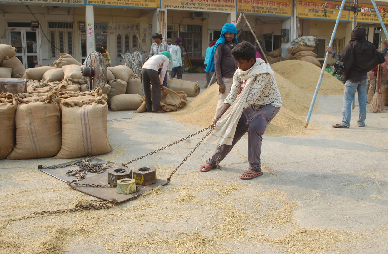 sell in rice