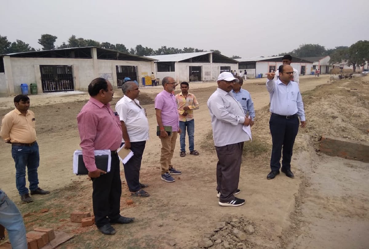 Chief Development Officer inspected of Gosadan