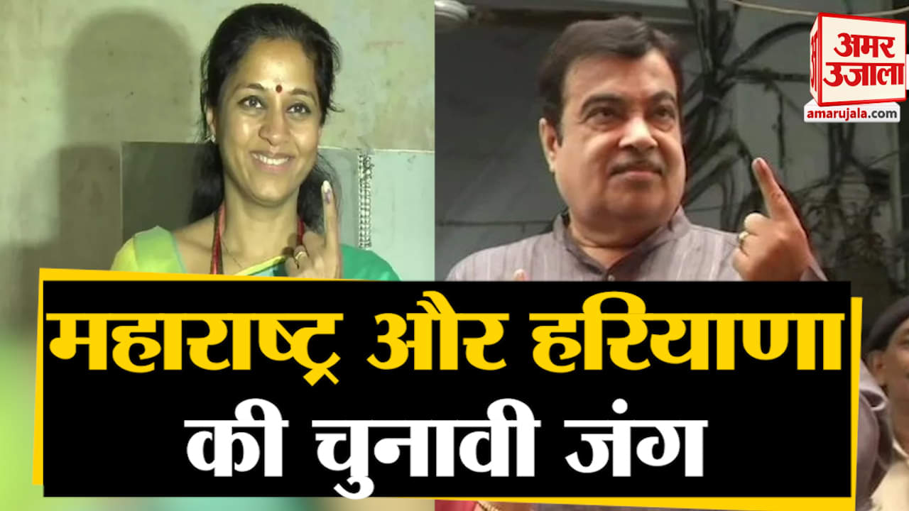 विधानसभा चुनाव 2019